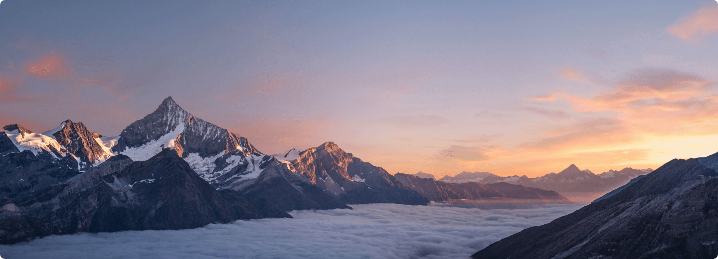 税关事务管理人（ACP）- 亚马逊FBA货物日本进口模式简析